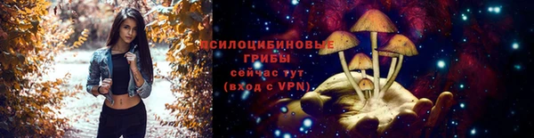 прущая мука Белоозёрский