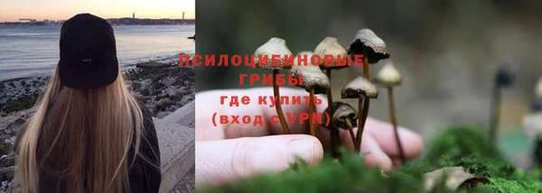 MESCALINE Богородск