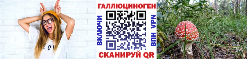 Галлюциногенные грибы ЛСД  Балашов 